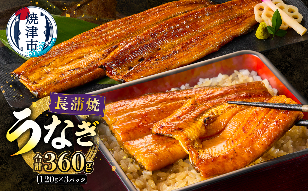 a20-129　静岡うなぎ漁協 うなぎ蒲焼(長焼)セット