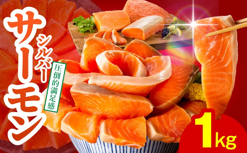 
                  【高評価】サーモン 1kg ポーション【スピード発送 訳あり サイズ不揃い 刺身 海鮮丼 さーもん サラダ カルパッチョ 鮭 さけ シャケ しゃけ 人気 オススメ 小分け 冷凍 家計応援】
                