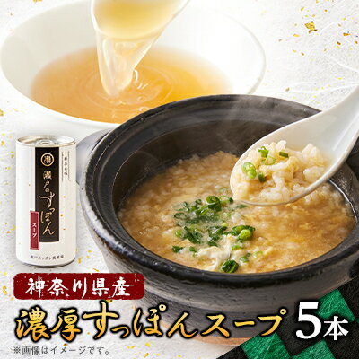 【ふるさと納税】濃厚すっぽんスープ　180g×5本【1361070】