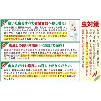 ふるさと納税 氷川町 令和7年産 白米 【3ヶ月定期便】 ひのひかり 20kg |  | 03