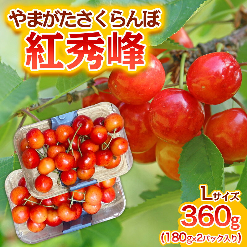 【ふるさと納税】やまがた さくらんぼ 紅秀峰 Lサイズ 360g(180g×2パック入り) 1箱【令和9年産先行予約】FS25-575 くだもの 果物 フルーツ 山形 山形県 山形市 お取り寄せ 2027年産