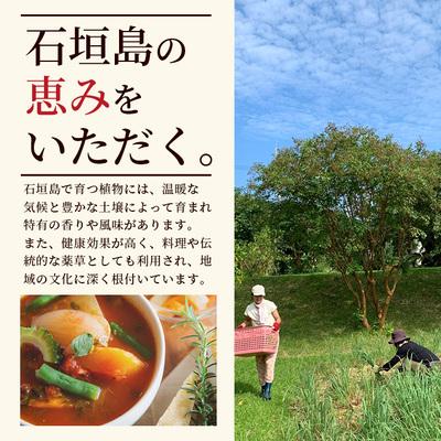 ふるさと納税 石垣市 ドラゴンペッパー　15g　瓶入×3本【 沖縄県 石垣島 調味料 石垣島産 辛味 】PN-3 |  | 01