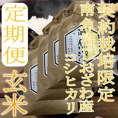 ふるさと納税 南魚沼市 【毎月定期便】【玄米8Kg】生産者限定 南魚沼しおざわ産コシヒカリ全6回