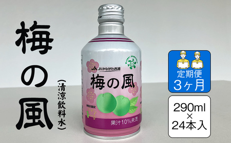 【定期便3ヶ月】梅の風（清涼飲料水）　290ml×24本入り【 神奈川県 山北町 】