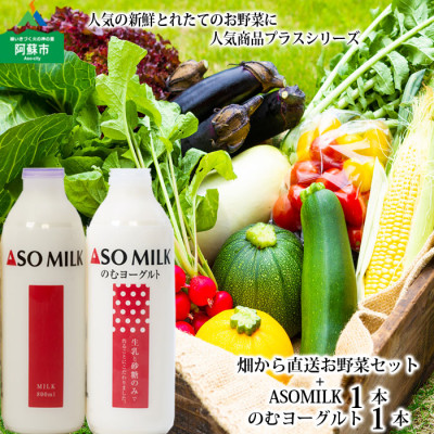 季節のお野菜セットと阿部牧場の三ツ星ASOMILK800ml＆三ツ星のむヨーグルト800mlセット【配送不可地域：離島】【1382554】