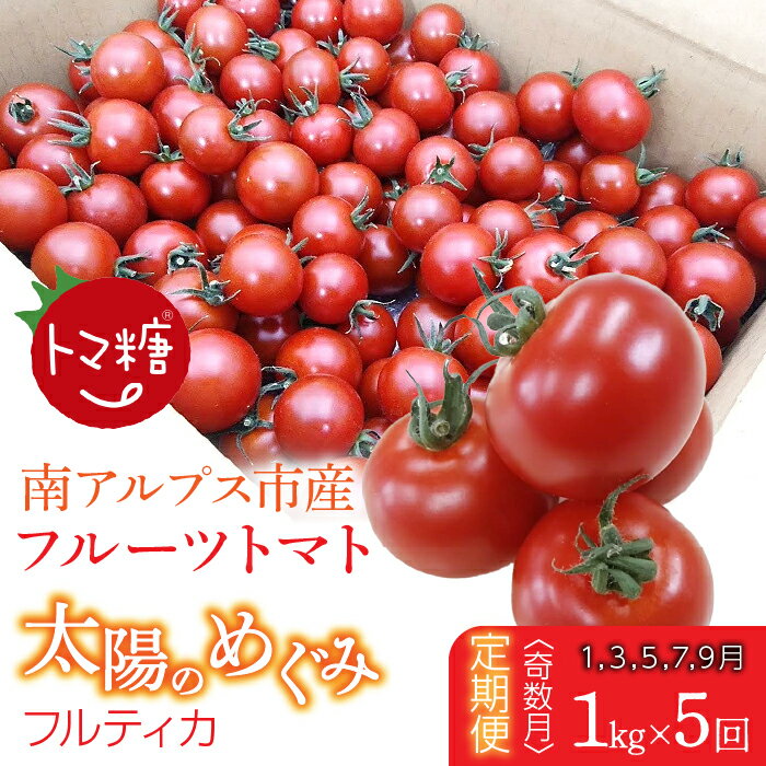 【ふるさと納税】発送月固定定期便・フルーツトマト「トマ糖・太陽のめぐみ」フルティカ1kgを全5回（1月、3月、5月、7月、9月）ふるさと納税 トマト　野菜　食べ物　ミニトマト　フルーツトマト おすすめ 山梨県 南アルプス市 送料無料 ALPBI012