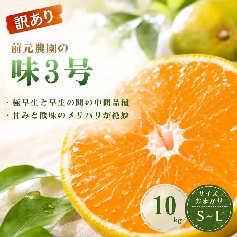 訳あり 前元農園の味3号 10kg S～Lサイズおまかせ【2026年10月下旬頃～順次発送予定】 /  フルーツ  みかん 蜜柑 三重県  高品質 みえ アルギット 訳あり【mmg042】
