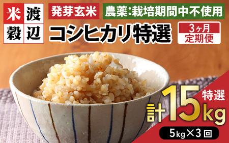 【期間限定】【3ヶ月連続お届け】【令和7年産】発芽玄米 コシヒカリ「特選」特別栽培米使用 5kg×3回（計15kg）【米 こしひかり 玄米 ギャバ GABA 無農薬 特別栽培 食物繊維 栄養 真空パック ごはん ご飯 おいしい ふるさと納税米】 [I-2909]