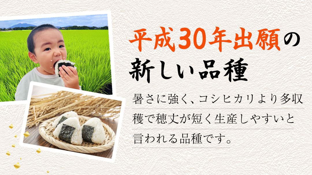 【 先行予約 】＜ 新米 ＞ 令和7年産 茨城県産 玄米 にじのきらめき 5kg 【2025年9月下旬より発送開始】 国産 茨城産 茨城県産米 つくばみらい市 精米 お米 こめ おこめ ごはん ご飯 