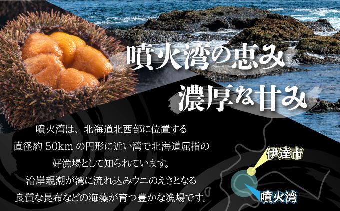 【JALふるさと納税限定】極上 北海道 噴火湾産 塩水 バフンウニ 100g 1パック ミョウバン不使用 うに ウニ 雲丹 海鮮 海の幸 魚介類 ウニ丼 お寿司 濃厚 無添加 産地直送 産直 お取り寄