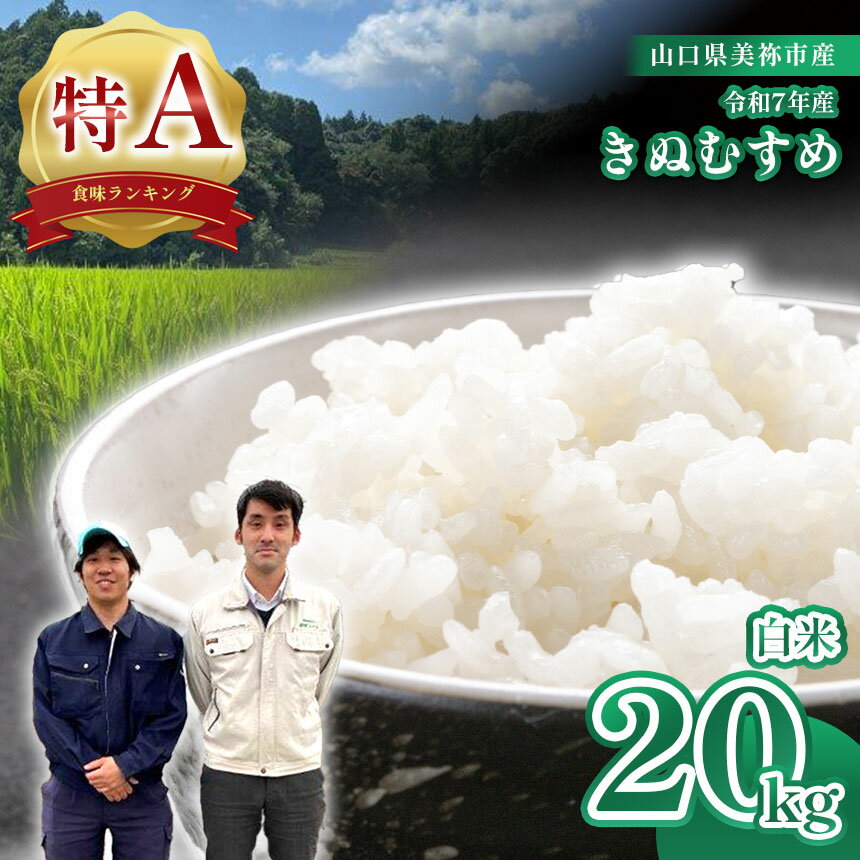 【ふるさと納税】 令和7年度産 新米 きぬむすめ ( 白米 20kg ) 先行予約 ＜ 2025年10月中旬より順次発送予定 ＞ ｜ 米 精米 新米 白米 米 雑穀 お米 コメ 単一米 きぬむすめ 絹娘 山口 美祢 植柳ファーム 植柳 20kg