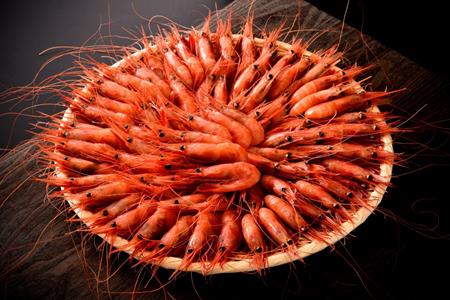 [D024] 【1～10月発送】獲れたて鮮度抜群！姫丸の子持ち甘エビ60匹丸ごと昆布〆