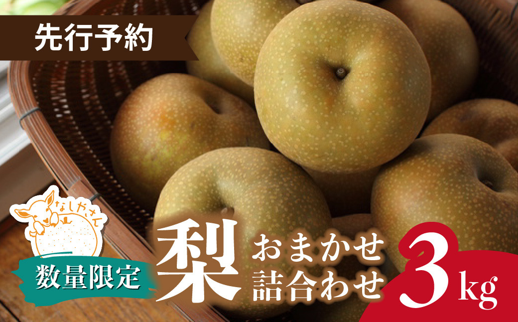 
            ＼先行予約 / 限定10箱／ 梨 おまかせ詰合せ 約3kg(6～9個入り) 東松山市産 | なし ナシ 幸水 彩玉 豊水 秋麗 あきづき 新高 甘太 和梨 果物 フルーツ 新鮮 自然栽培 農園直送 産地直送 農家直送 限定 期間限定 数量限定 贈答 贈り物 プレゼント ギフト 旬 甘い デザート お取り寄せ なしやさん 埼玉県 東松山市
          