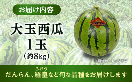 【先行予約】【数量限定】大玉 西瓜 1玉入り 約8kg 【株式会社 GGYパッケージ】[AYAU001]