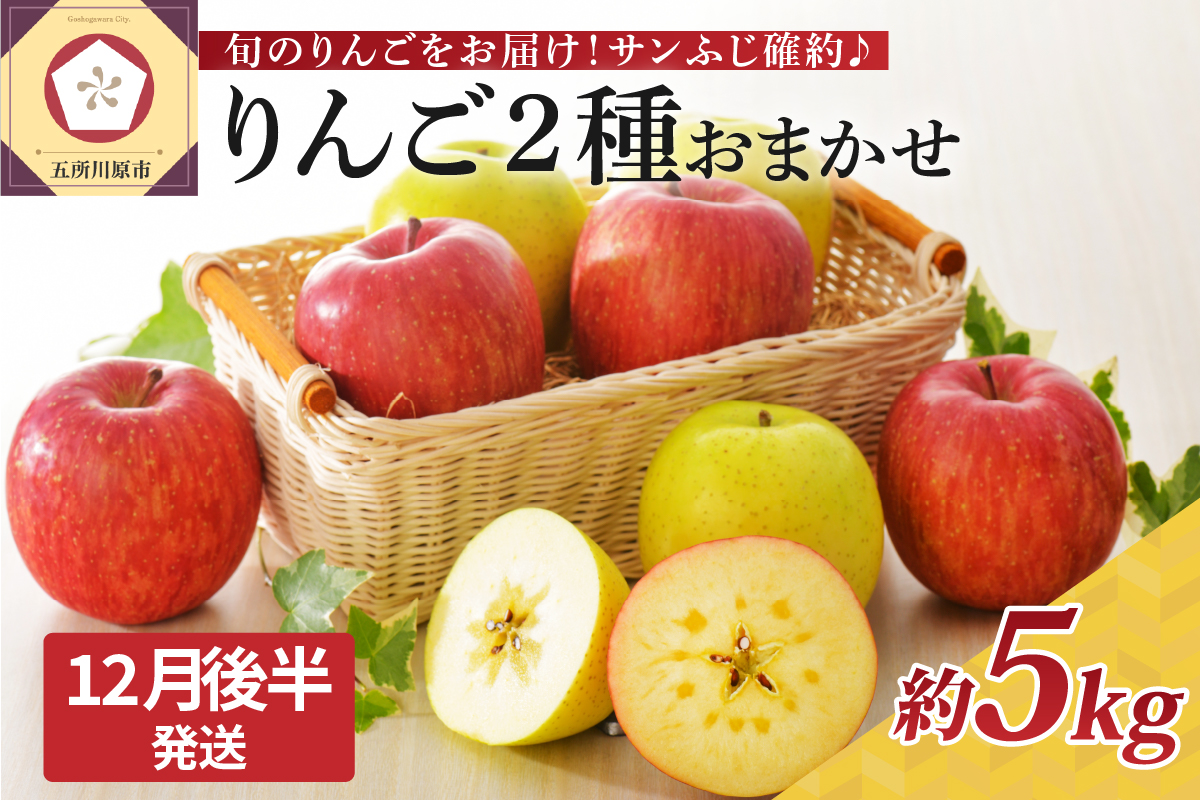 【2026年12月後半発送】りんご 約5kg 青森産 サンふじ 確約 品種おまかせ2種以上 贈答用 特選～特秀