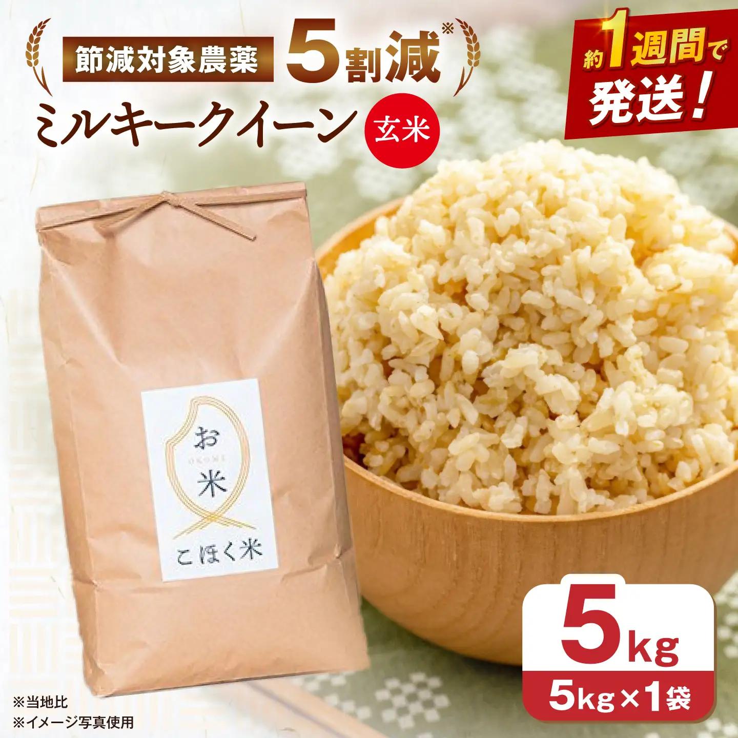 玄米【スピード発送】ミルキークイーン 玄米5kg[AQAK009]