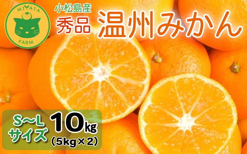 【2025年11月順次発送】 みかん 秀品 温州みかん10kg 早生みかん ミカン 蜜柑 甘い フルーツ 柑橘 ジュース 小松島市 オススメ 人気 ふるさと納税