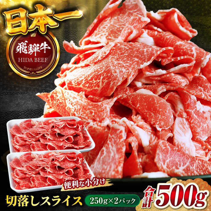 【ふるさと納税】【選べる容量・選べる発送月】【飛騨牛】切落しスライス（250g×2/250×3/250g×4）和牛 牛肉 肉 焼肉 小分け 切り落とし 切りおとし 切落し 訳アリ 訳あり わけあり 岐阜市/丸福商店[ANBO003]
