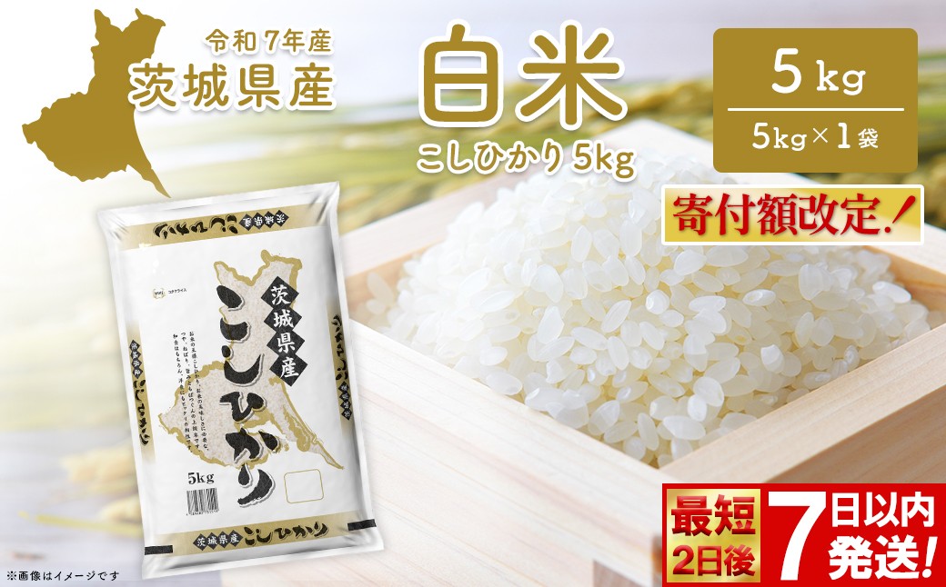 
                  期間限定!! 【令和7年産/白米】 こしひかり 5kg 茨城県産 米 小分け 2025年産 K2670
                