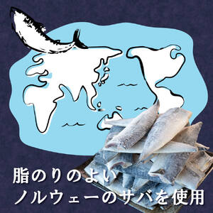 訳あり 塩サバ 約5kg 冷凍 鯖 塩 さば 魚 さかな 海鮮 海産物 おかず ご飯 おすすめ 人気 愛知県 南知多町 【配送不可地域：離島】サバ  鯖 サバ  鯖 サバ  鯖 サバ  鯖 サバ  鯖