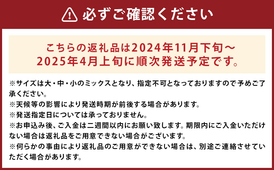 紅はるか 約5kg （9～38個）