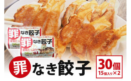 【最高級Bigれんこん珠美使用】冷凍罪なき餃子（20g×15個入）2パックセット 77-E