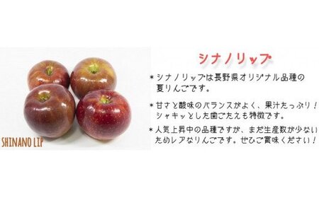 りんご 暑さに負けないシナノリップ 家庭用 5kg 大友農場 エコファーマー認定 沖縄県への配送不可 2025年8月中旬頃から2025年9月上旬頃まで順次発送予定 令和7年度収穫分 信州 果物 フルー