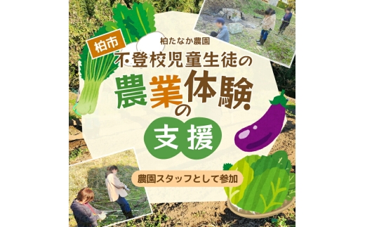 不登校児童生徒の農業体験の支援 （農園スタッフとして参加） 〈 サポート 学び 食育 収穫体験 農業体験 体験 収穫 野菜 子供 親子 農作物 ふるさと納税 柏 〉