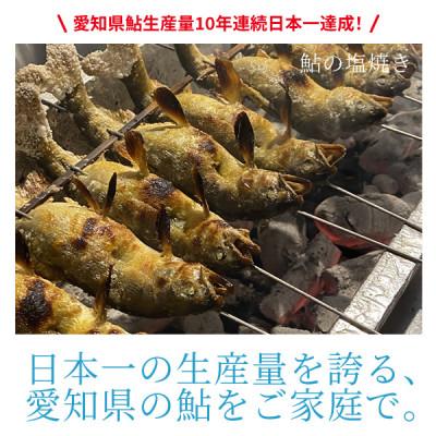 ふるさと納税 豊川市 とよかわ鮎 1kg - 厳選鮎使用!【おすすめお礼品】 |  | 02