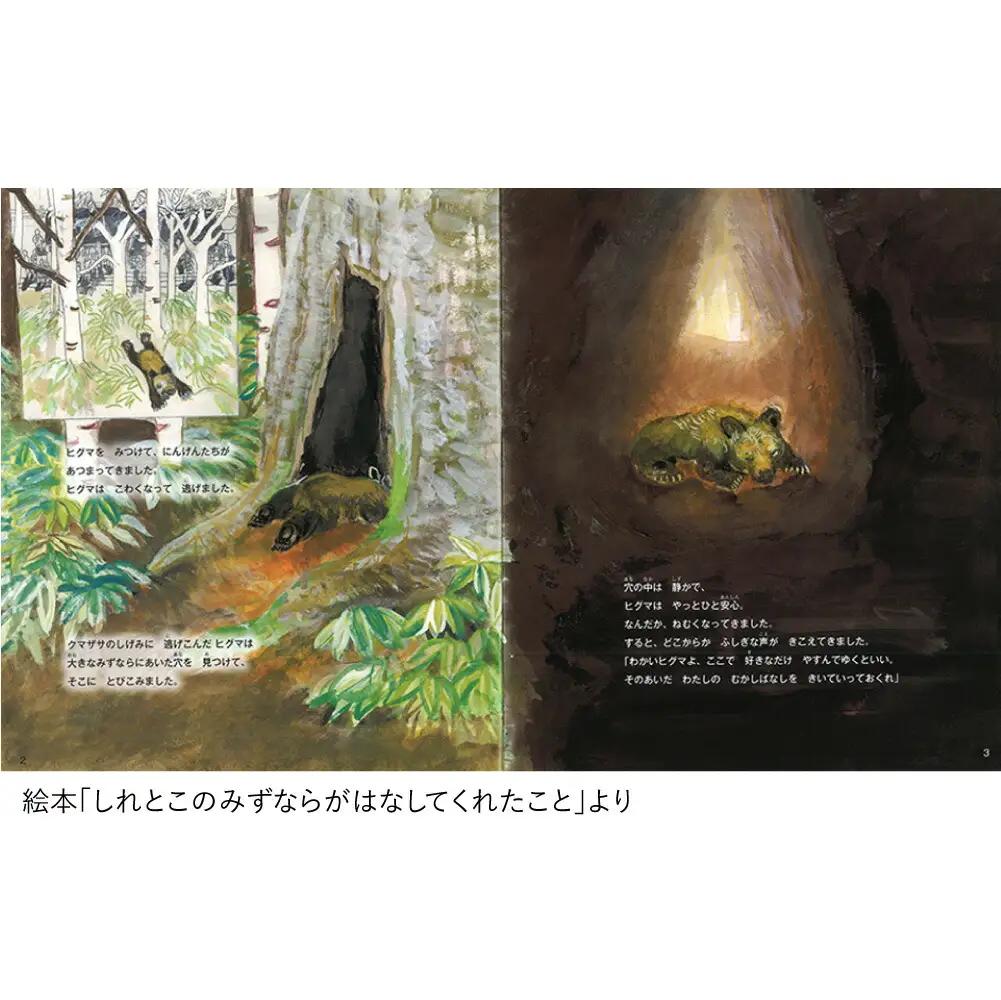 知床財団オリジナル絵本セット_雑貨   