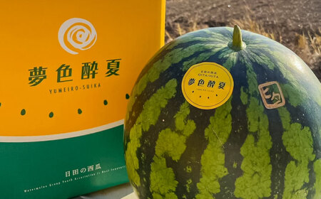 【先行予約・7月以降順次発送】夢色酔夏（金色羅皇）1玉 7~9kg 日田市 / JAおおいた　 [AREW003]