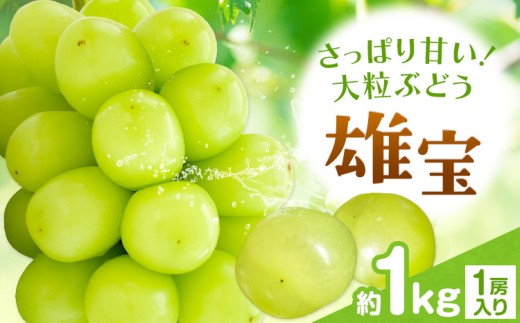 【2027年発送】ぶどう 雄宝 約1kg (1房入り) カプセル 西江果樹園《2027年8月中旬-8月下旬頃出荷》岡山県 笠岡市 送料無料 大粒 葡萄 マスカット 果物 岡山県産 国産 フルーツ お取り寄せフルーツ シャインマスカットの交配品種