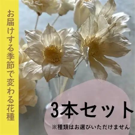 ディフューザー用ウッドフラワー【1534966】