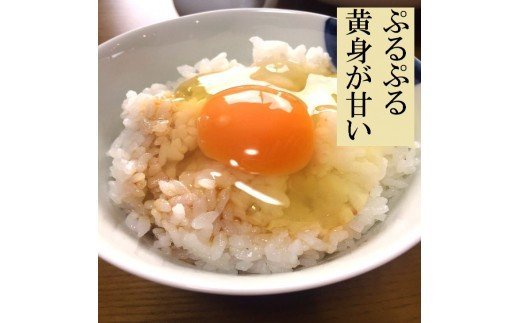 江原ファーム 地養卵＆アローカナハーフセット（計３０個） ふるさと納税 たまご タマゴ 生みたて 新鮮_AG07