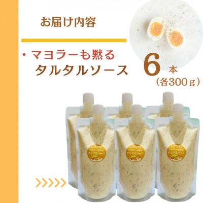 ふるさと納税 川棚町 スムージー専門店が作った「マヨラーも黙るタルタルソース 」300g×6パック |  | 01