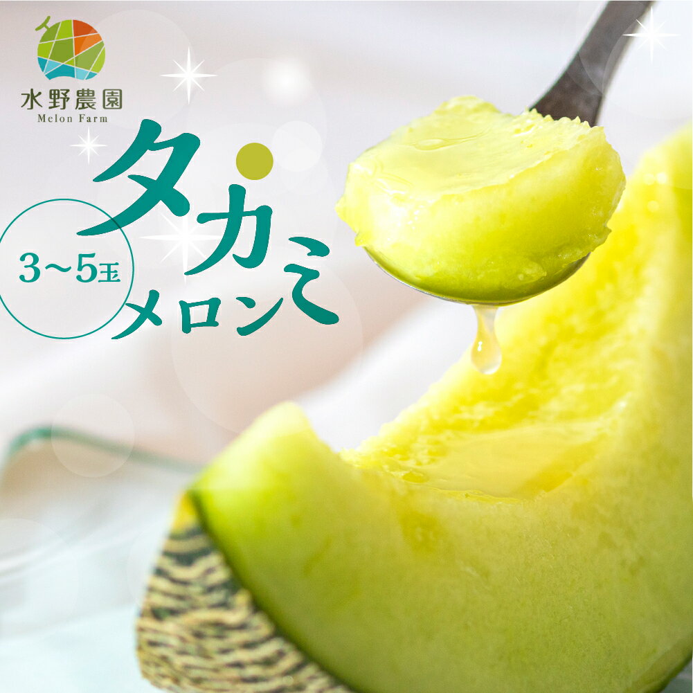 【ふるさと納税】 先行予約 タカミメロン 2玉 / 3〜5玉 5kg 水野農園 2025年7月以降順次発送 メロン めろん 先行受付 フルーツ 果物 お中元 お取り寄せ ギフト 渥美半島 田原市 産地直送 送料無料 メロン 糖度 メロン 青肉