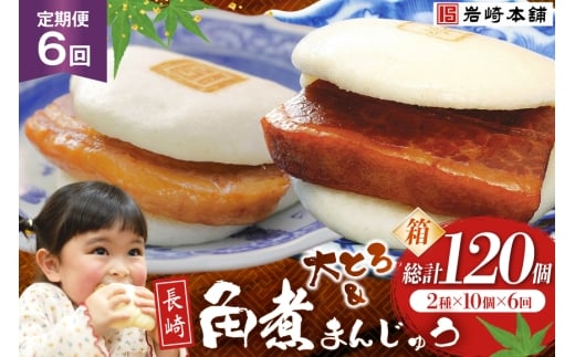 BJ077 岩崎本舗 【6回定期便】長崎角煮まんじゅう 10個入・大とろ角煮まんじゅう 10個入 (箱) [長崎県 島原市]