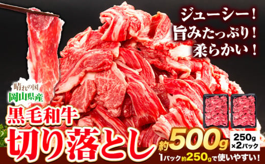 牛肉 黒毛和牛 切り落とし 500g 《30日以内に出荷予定(土日祝除く)》 岡山県 矢掛町 牛 牛肉 和牛 牛丼 カレー 小分け 小分けパック 250g 送料無料