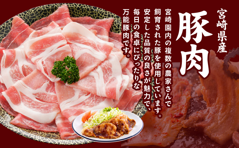 【年内お届け】宮崎県産豚わくわく4.1kgセット(真空)≪2025年12月15日～31日お届け≫_AC-8403-s-HNY