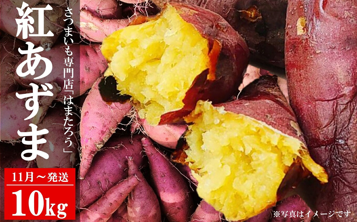 【ふるさと納税】さつまいも 紅あずま 10kg 新潟県柏崎産 はまたろう【数量・期間限定】[ZF324]【 新潟県 柏崎市 】