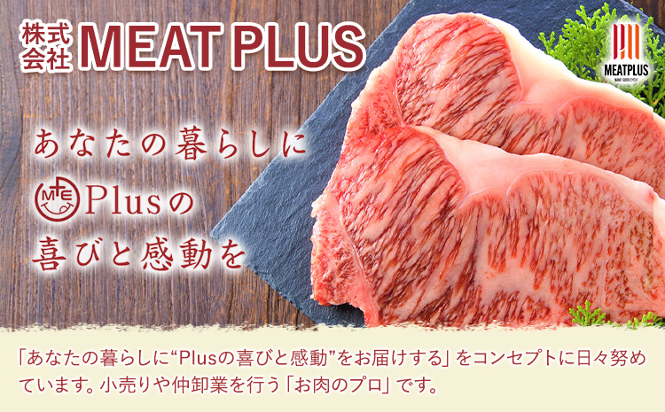 【A4～A5】くまもと 黒毛和牛 サーロイン ステーキ 250g 《30日以内に出荷予定(土日祝除く)》熊本県 大津町 黒毛和牛 肉 お肉 和牛 牛 牛肉 A5 A4 小分け MEAT PLUS