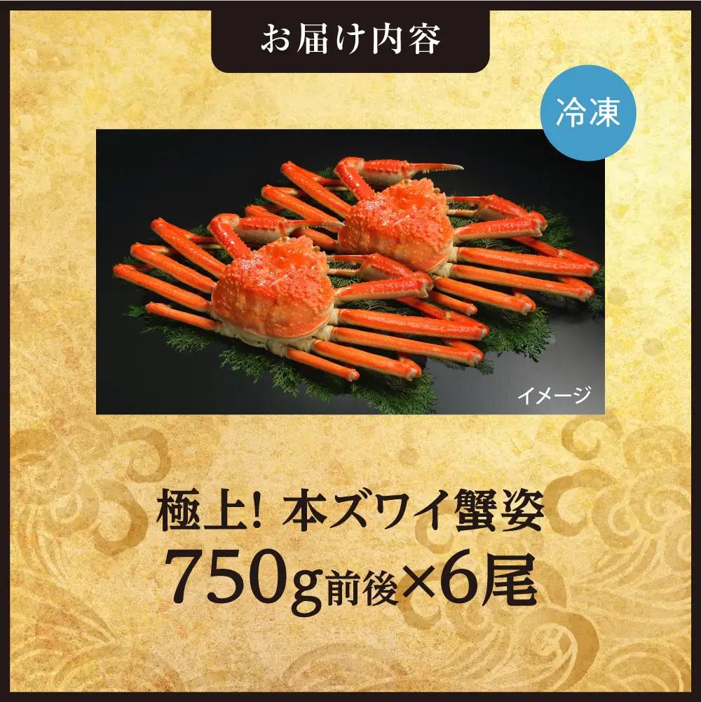 極上！本ズワイ蟹の姿　750g　6尾 かに ズワイガニ 北海道 札幌市|かに ズワイガニ 北海道 札幌市 北海道 札幌市