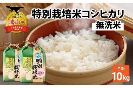 【先行予約】令和6年産 特別栽培米コシヒカリ 5kg ×2袋（無洗米）【2025年9月20日より順次発送】 [B-005002]