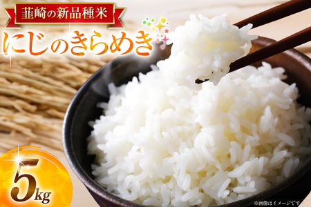 令和8年 新米 先行予約 にじのきらめき 5kg [駒井農園 山梨県 韮崎市 20745371]