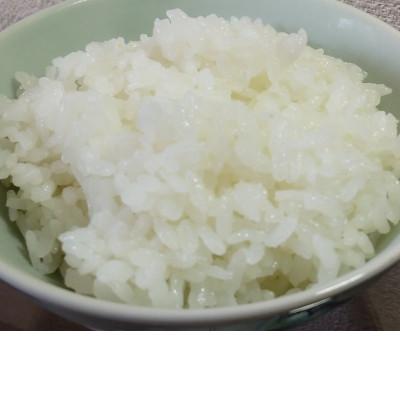 ふるさと納税 韮崎市 令和7年産キヌヒカリ(白米)5kg×1袋