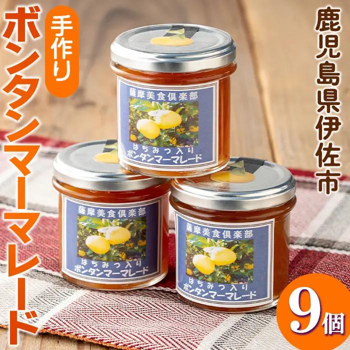 isa546 《数量限定》手作りはちみつ入りボンタンマーマレード(計9個・各140g) ふるさと納税 伊佐市 特産品 加工食品 果物 フルーツ 詰め合わせ 果肉 柑橘 低糖 ハンドメイド ジャム ギフト 【薩摩美食倶楽部】