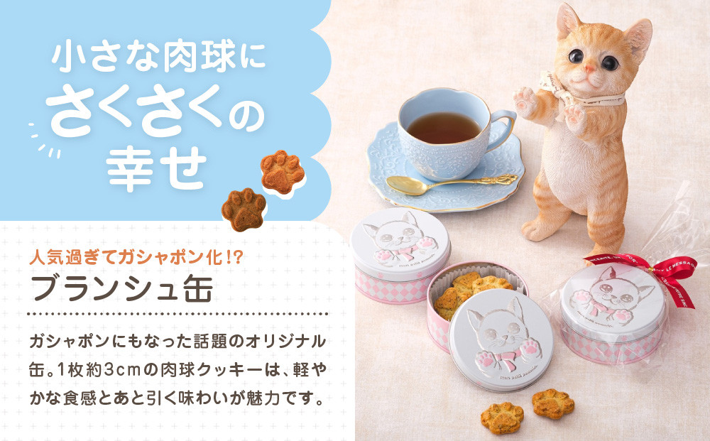 子猫のブランシュ缶クッキー　シナモン