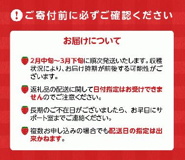 【2026年2月より順次発送】丸茂農園の福岡県産あまおう_丸茂農園の福岡県産あまおう いちご スイーツ 果物 デザート フルーツ 食べ方いろいろ ヨーグルト アイス ジャム 甘み 旬 酸味 濃厚 赤い