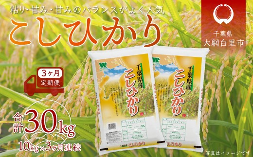 ＜3ヶ月定期便＞ 令和7年産  千葉県産「コシヒカリ」10kg×3ヶ月連続 計30kg A027