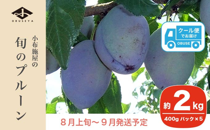 
            長野県産 旬のプルーン 約2kg ［小布施屋］ 生プルーン 果物 フルーツ 令和7年産 【2025年8月上旬～9月発送】 ［A-219］
          